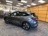 New 2025 Ford Escape ST-Line Elite w/ Premium Technology Package image 5