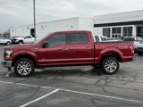 Used 2016 Ford F150 XLT w/ Equipment Group 302A Luxury image 5