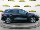 Certified 2022 Ford Escape SEL image 6