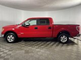 Used 2013 Ford F150 XLT image 6