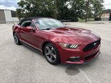 Used 2015 Ford Mustang Convertible w/ Equipment Group 051A image 2