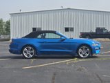 Used 2021 Ford Mustang Premium w/ Equipment Group 201A image 4