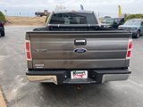 Used 2011 Ford F150 XLT w/ XLT Chrome Pkg image 5