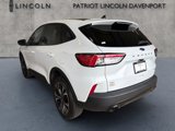 Used 2022 Ford Escape SE w/ SE Sport Appearance Package image 6