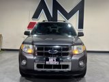 Used 2010 Ford Escape Limited image 2