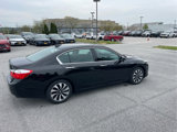 Used 2014 Honda Accord EX-L image 4