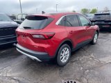 Used 2023 Ford Escape Active w/ Tech Pack #1 image 4