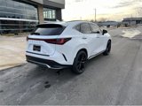 Certified 2024 Lexus NX 350 F Sport image 3