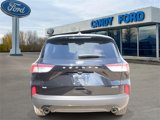 Used 2022 Ford Escape SE w/ SE Sport Appearance Package image 4