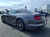 Used 2017 Ford Mustang Coupe w/ Interior & Wheel Package image 4