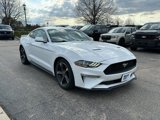 Used 2019 Ford Mustang Coupe image 4