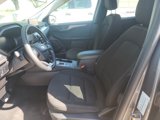 Used 2024 Ford Escape Active image 4