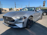 Used 2019 Ford Mustang Premium image 3
