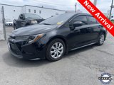 Used 2024 Toyota Corolla LE image 2