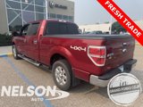 Used 2013 Ford F150 XLT w/ Luxury Equipment Group image 5
