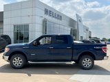 Used 2014 Ford F150 XLT w/ Equipment Group 302A Luxury image 3