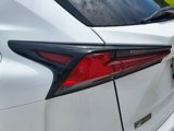 Used 2019 Lexus NX 300 F Sport image 5