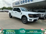 New 2025 Ford F150 STX image 1