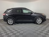 Used 2020 Ford Escape SE image 2