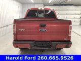 Used 2010 Ford F150 FX4 image 6