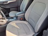 Used 2022 Ford Escape SE w/ Convenience Package image 3