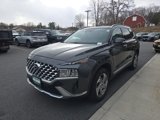 Used 2021 Hyundai Santa Fe SEL w/ Convenience + Premium Package image 3