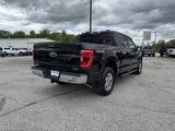 Used 2021 Ford F150 XLT w/ Equipment Group 302A High image 6