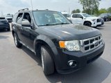 Used 2010 Ford Escape XLT image 3