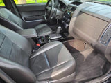 Used 2010 Ford Escape XLT image 3