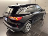 Certified 2022 Ford Escape SEL image 6