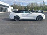 Used 2022 Ford Mustang Premium image 2