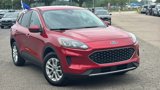 Certified 2020 Ford Escape SE image 2