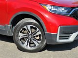 Certified 2021 Honda CR-V Special Edition image 3