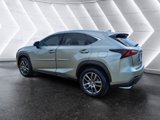 Used 2015 Lexus NX 200t AWD image 3