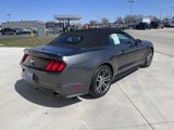 Used 2017 Ford Mustang Premium image 4