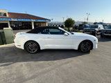 Used 2023 Ford Mustang Premium image 6