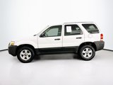 Used 2007 Ford Escape XLT image 4