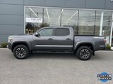 Used 2022 Toyota Tacoma TRD Sport w/ Black Out Package (TMS) image 5