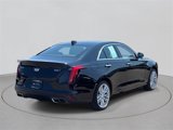 Certified 2022 Cadillac CT4 Premium Luxury w/ Climate Package image 4