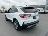 Certified 2021 Ford Escape SEL w/ Class II Trailer Tow Package image 5