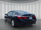Used 2014 Honda Accord EX-L image 3