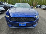 Used 2015 Ford Mustang Coupe image 2