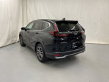 Used 2020 Honda CR-V EX image 5