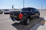 Used 2023 Ford F150 XLT w/ Equipment Group 302A High image 6