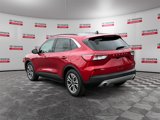 Used 2020 Ford Escape SEL image 3
