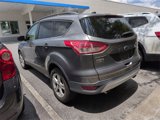 Used 2014 Ford Escape SE w/ Equipment Group 201A image 4