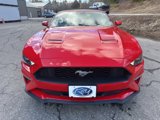 Used 2022 Ford Mustang Premium image 3