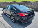 Used 2020 Honda Accord EX-L image 4