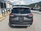 Used 2022 Ford Escape SE image 4