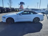 Used 2022 Ford Mustang Premium image 6